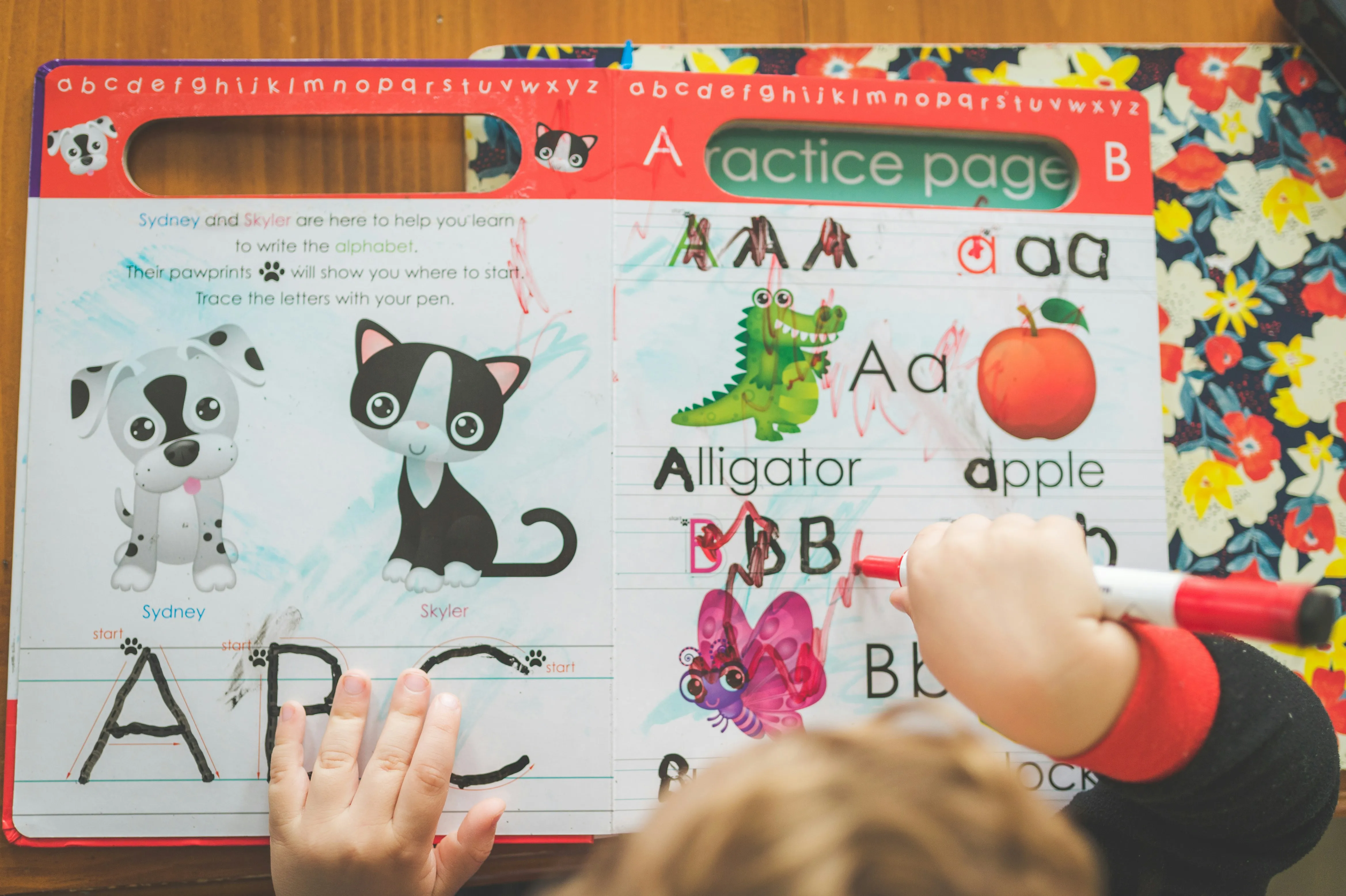 children's alphabet workbook